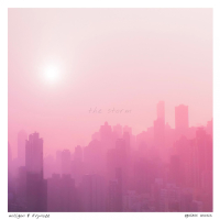 the storm (Single)