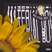 Material Boy (Acoustic) (Single)