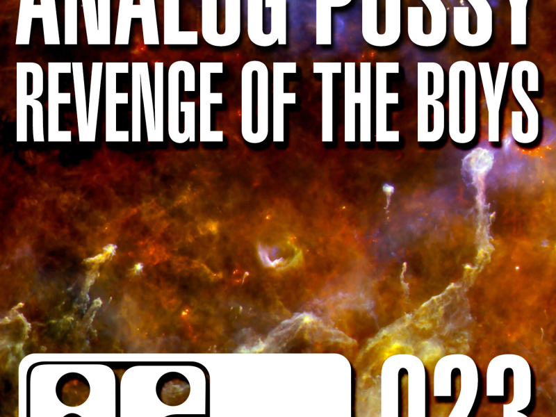 Revenge of the Boys (Single)