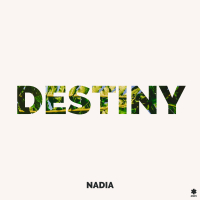 Destiny (Single)