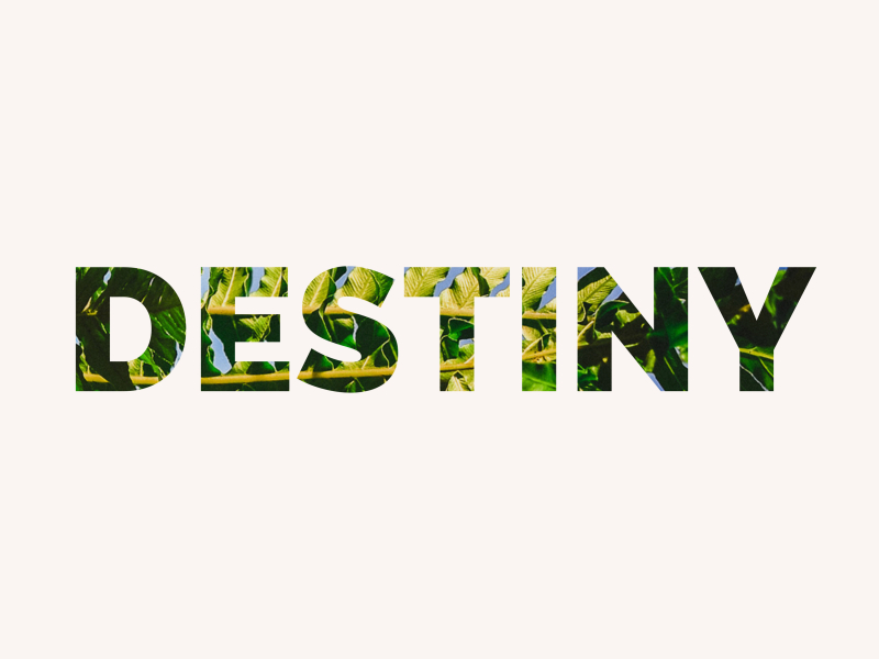 Destiny (Single)