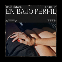 En Bajo Perfil (Single)