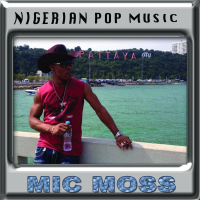 Nigerian Pop Music (Single)