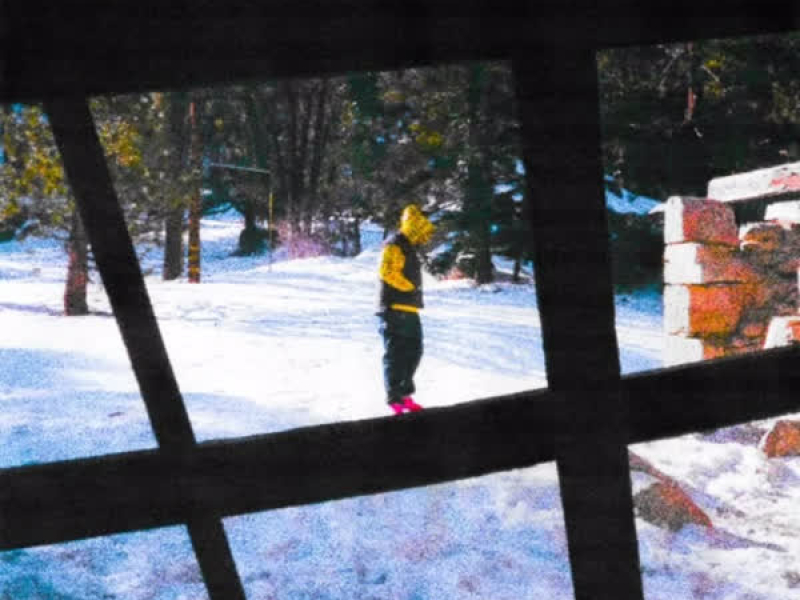 ALLYNDALE DR (Single)