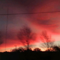 I never wanna lose you (Single)