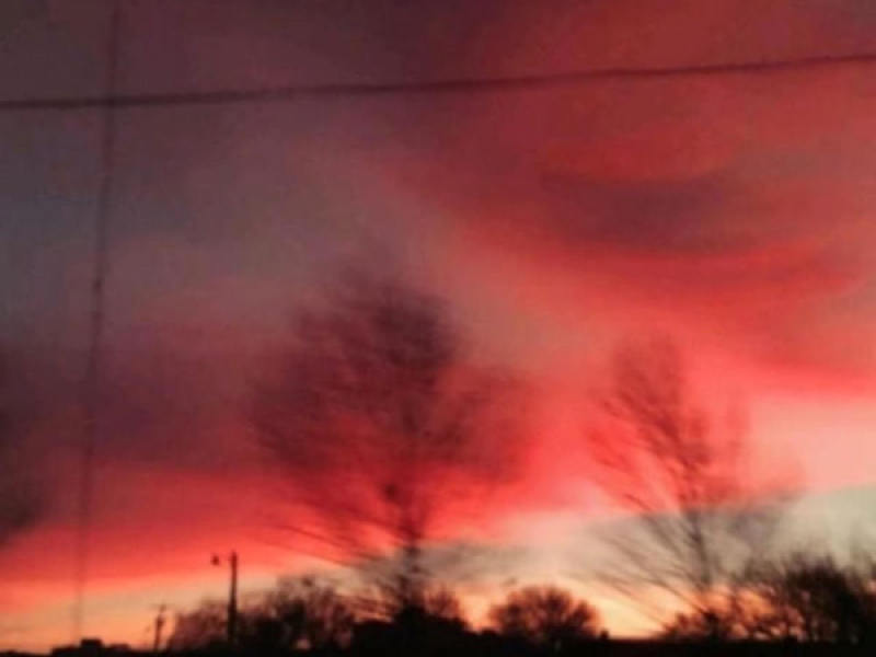 I never wanna lose you (Single)