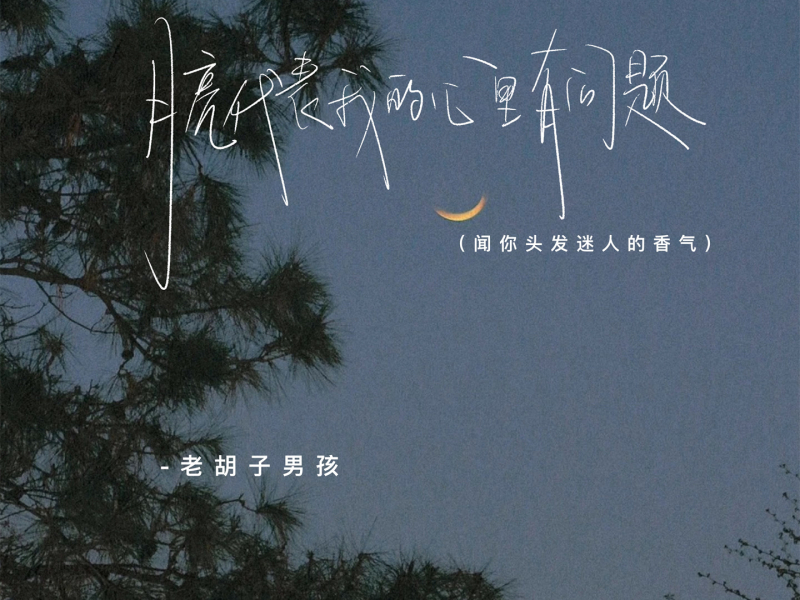 月亮代表我的心里有问题 (闻你头发迷人的香气) (Single)