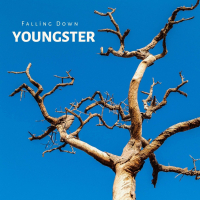 Falling Down (Instrumental) (Single)