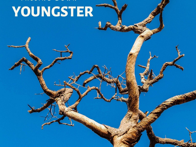 Falling Down (Instrumental) (Single)