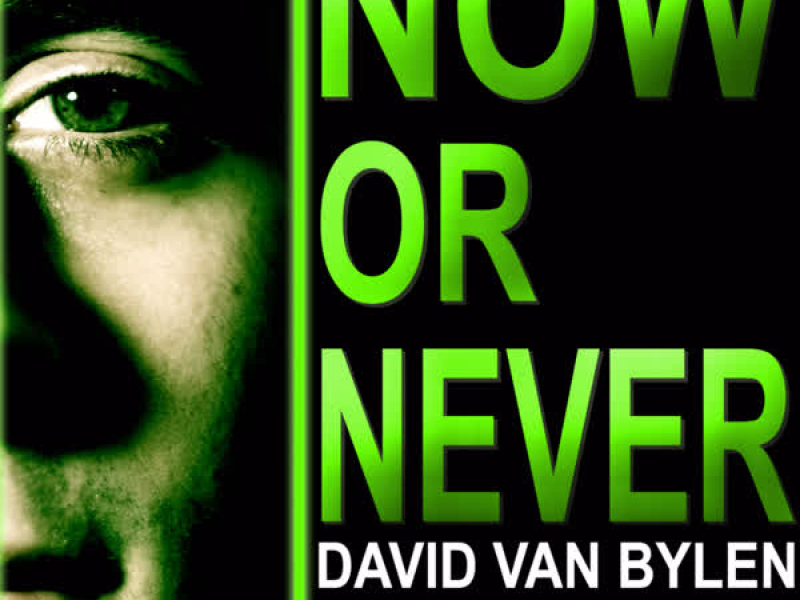 Now or Never - Single