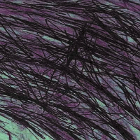 what am i doing ? (Single)