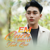 Em Quên Điệu Lý Tình Quê (Single)