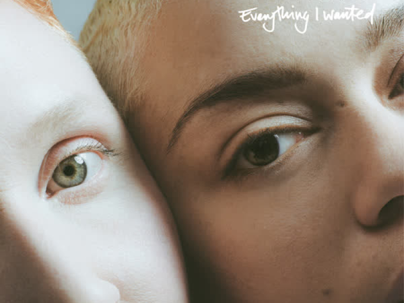 Everything I Wanted (Single)