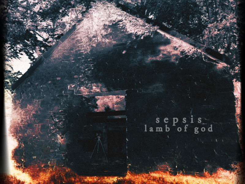 Sepsis (Single)