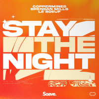 Stay The Night (Single)