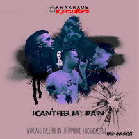 I Can't Feel My Pain (Single)