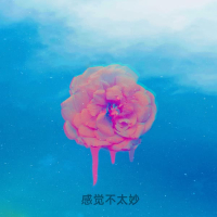 感觉不太妙 (Single)