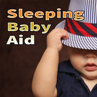 Sleeping Baby Aid (Single)