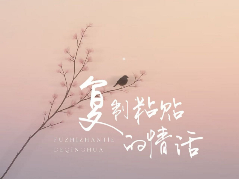 复制粘贴的情话 (Single)