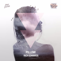 Pillow (Single)