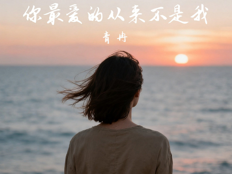 你最爱的从来不是我 (Single)