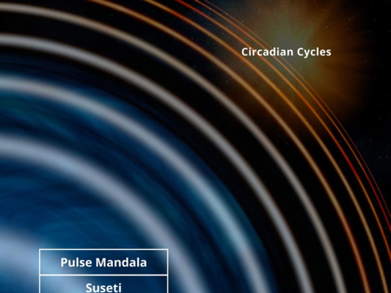 Circadian Cycles (Single)