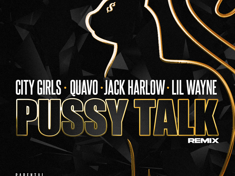 Pussy Talk (Remix) (Single)