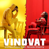 Vinovat (Single)