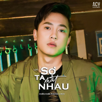 Sợ Ta Mất Nhau (Lofi) (Single)