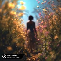 Broken Compass (Single)