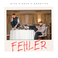 Fehler (Single)