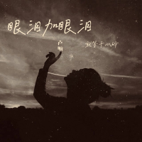 眼泪加眼泪就等于心碎 (Single)