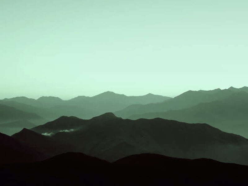 Could Have Done Better (Single)