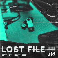 Lost File (Original Mix) (Single)