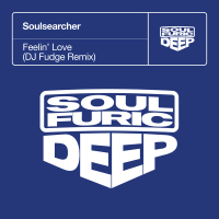 Feelin’ Love (DJ Fudge Remix) (Single)