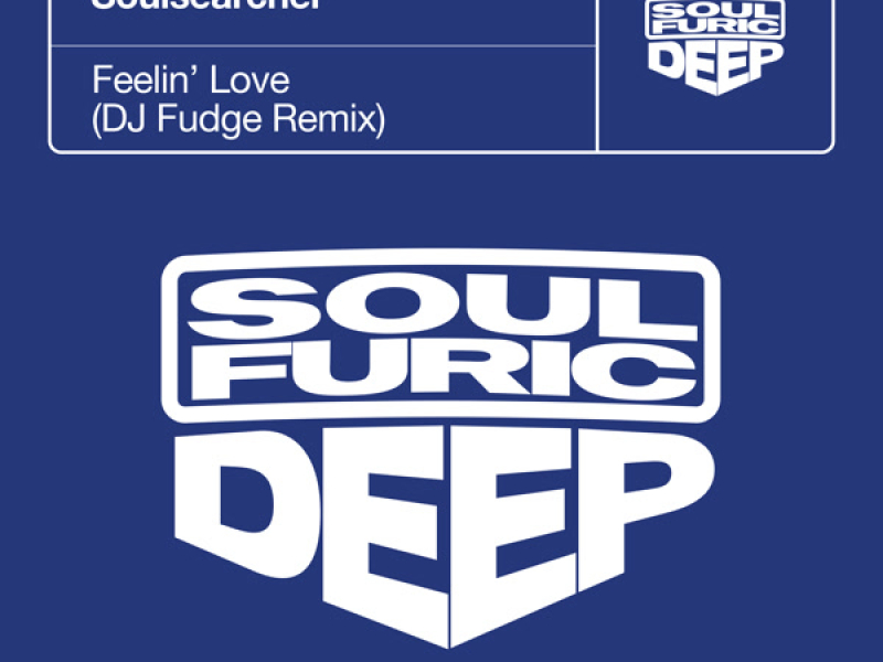 Feelin’ Love (DJ Fudge Remix) (Single)