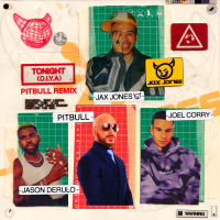 Tonight (D.I.Y.A) (Pitbull Remix) (Single)