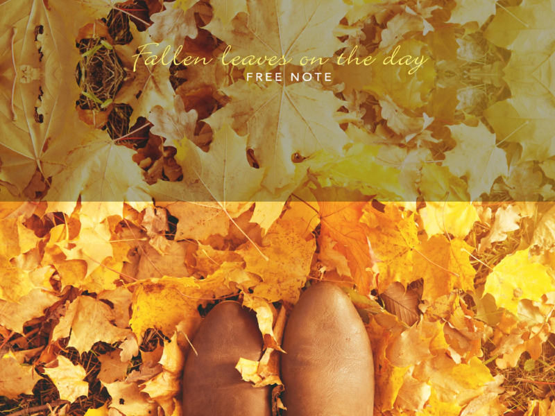 On the day of the fallen leaves (Single)