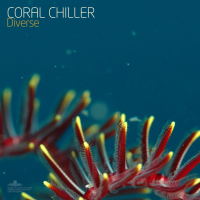 Diverse (Extended Version)