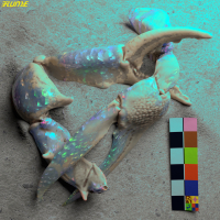 Let You Know (Robin Hannibal Rework) (Single)