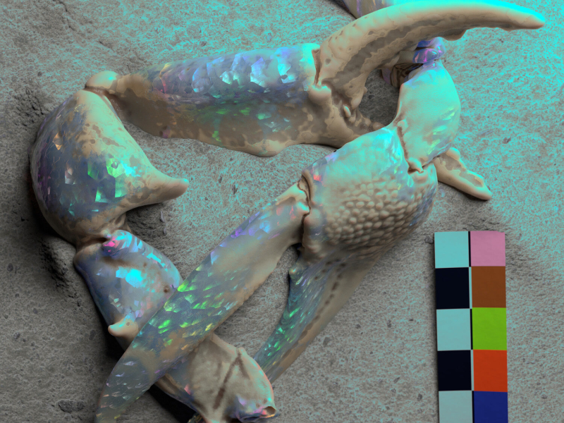 Let You Know (Robin Hannibal Rework) (Single)