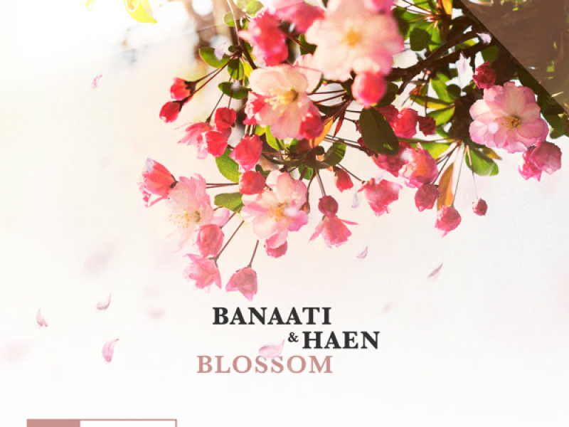 Blossom (EP)