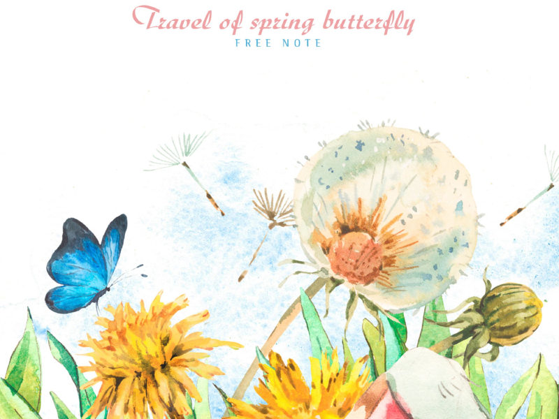 Spring butterfly travel (Single)