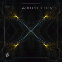 Acid or Techno (EP)
