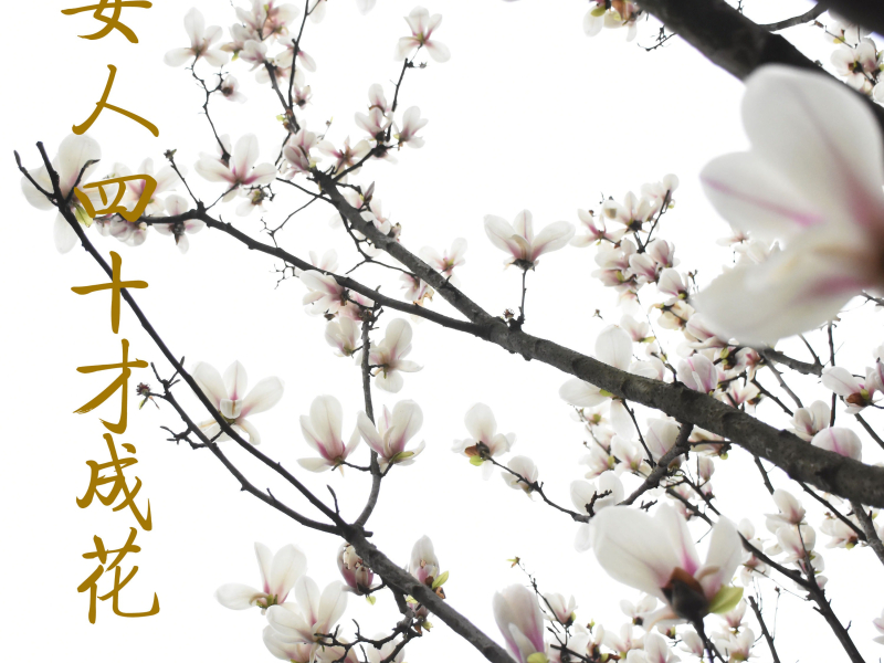 女人四十才成花 (Single)