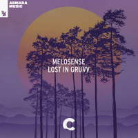 Lost In Gruvv (Single)
