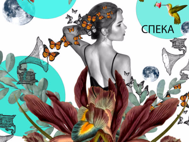 Спека (Single)