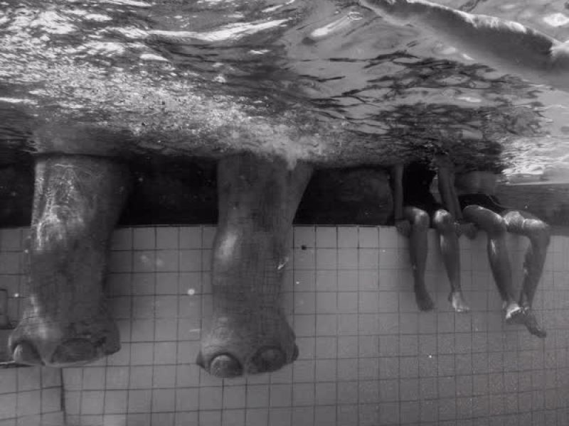 เพลงรักเฉยเฉย (Single)