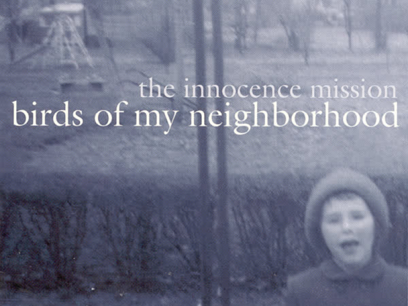 Birds Of My Neighborhood