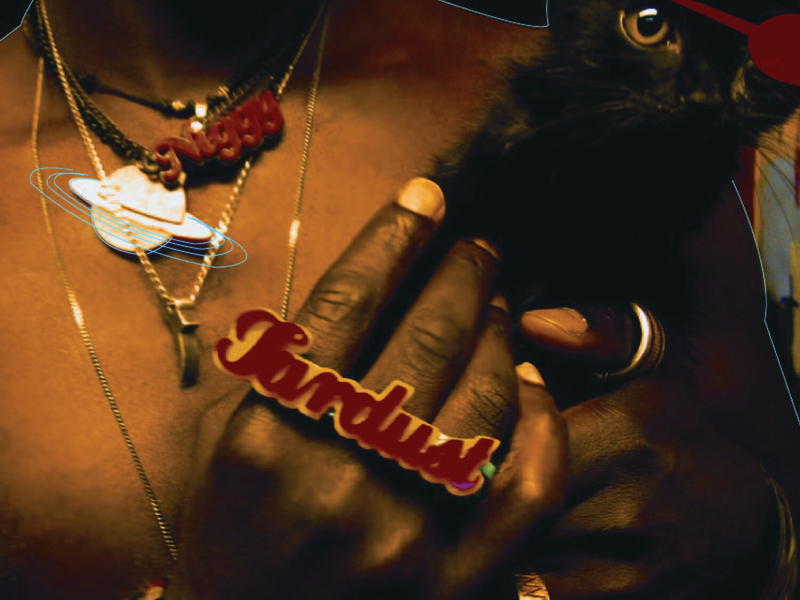 The Inevitable Rise And Liberation Of Niggy Tardust